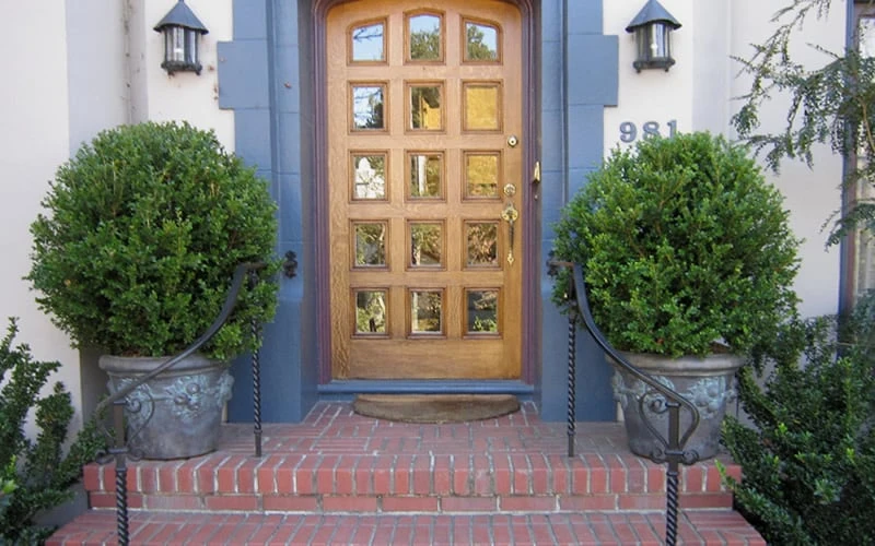 Wintergreen Boxwood - 6 Pack Of 1 Gallon Pots - Image 5